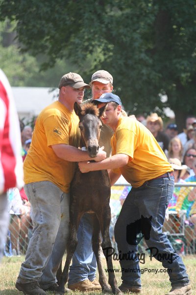 ponypenning_072810_580.JPG