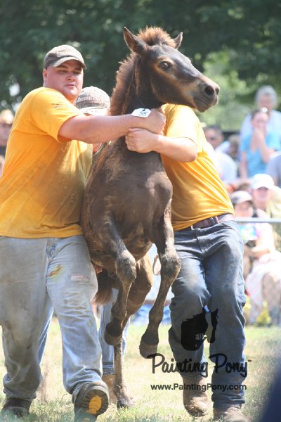 ponypenning_072810_582.JPG