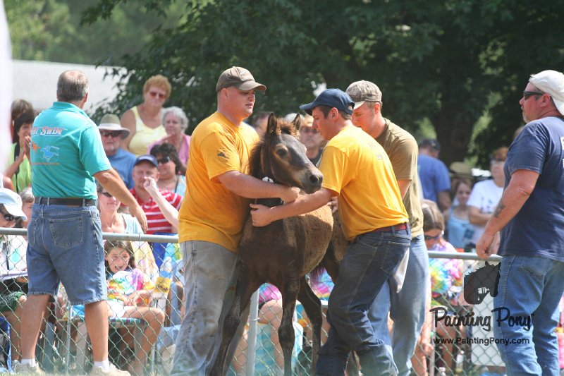 ponypenning_072810_588.JPG