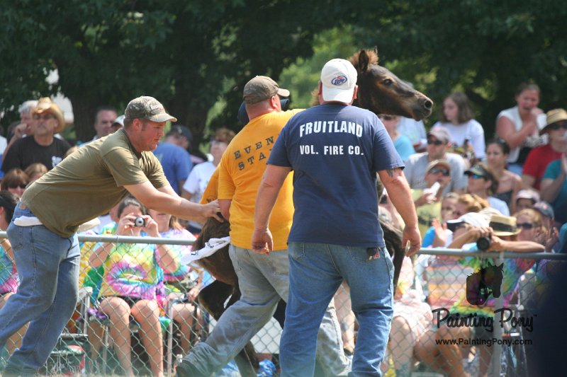 ponypenning_072810_589.JPG