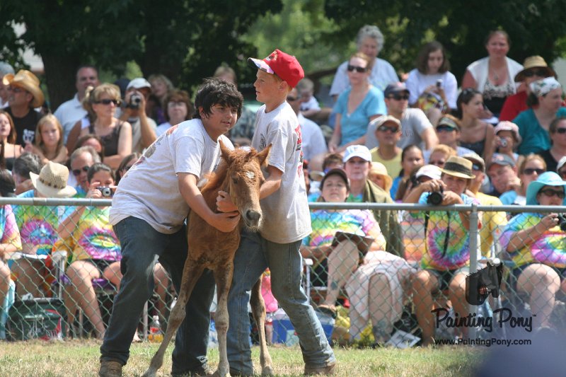 ponypenning_072810_591.JPG