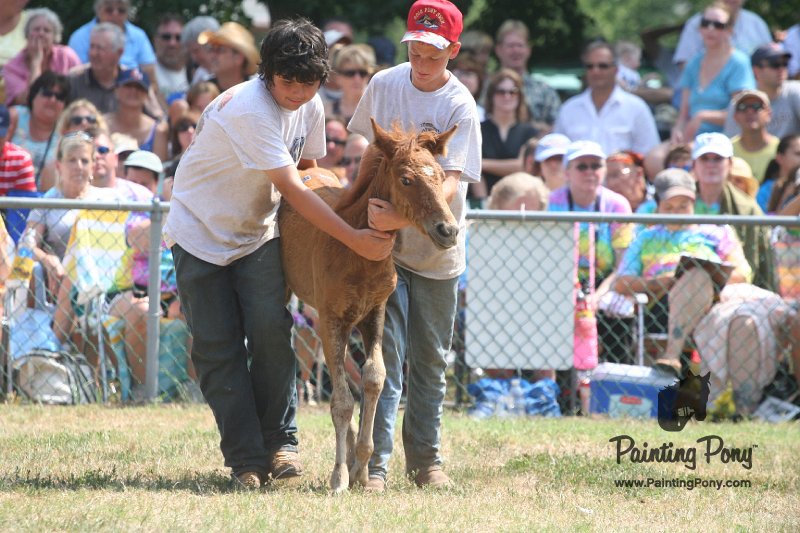 ponypenning_072810_592.JPG