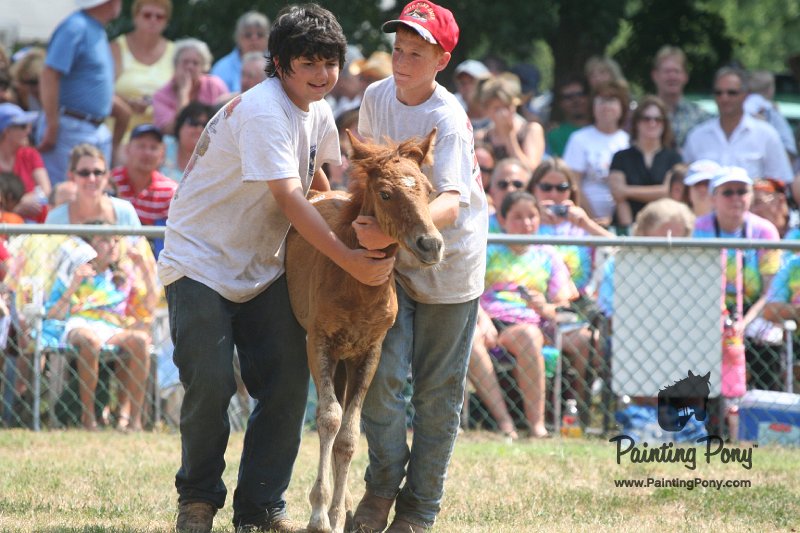ponypenning_072810_593.JPG