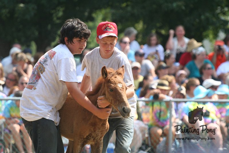 ponypenning_072810_594.JPG