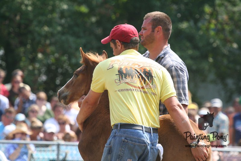 ponypenning_072810_596.JPG