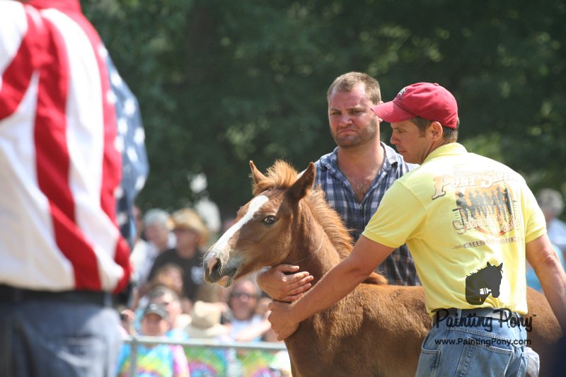 ponypenning_072810_597.JPG