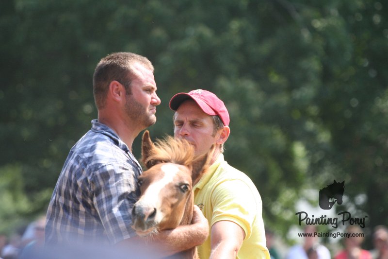 ponypenning_072810_599.JPG