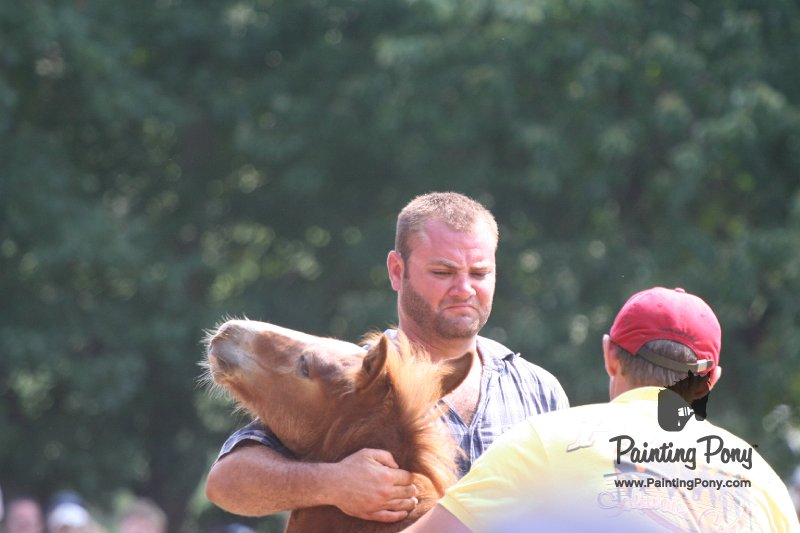 ponypenning_072810_600.JPG