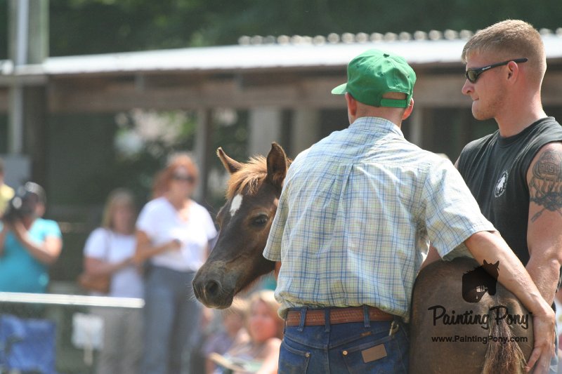 ponypenning_072810_601.JPG