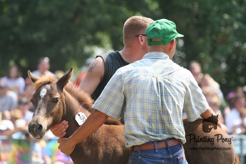 ponypenning_072810_605.JPG