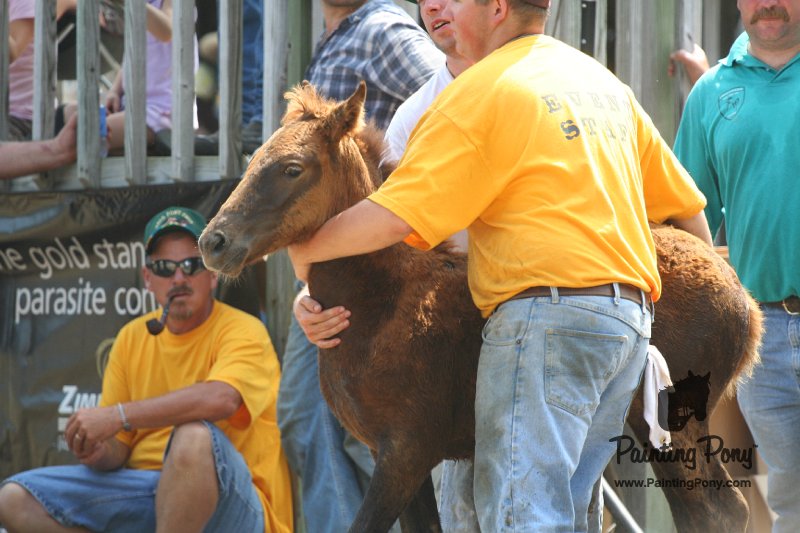 ponypenning_072810_607.JPG