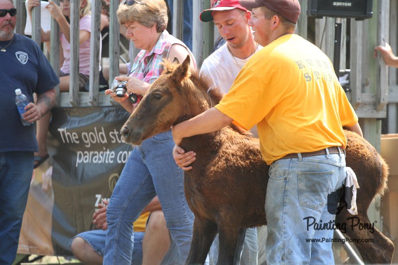 ponypenning_072810_608.JPG