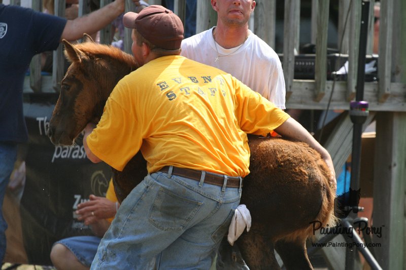 ponypenning_072810_609.JPG