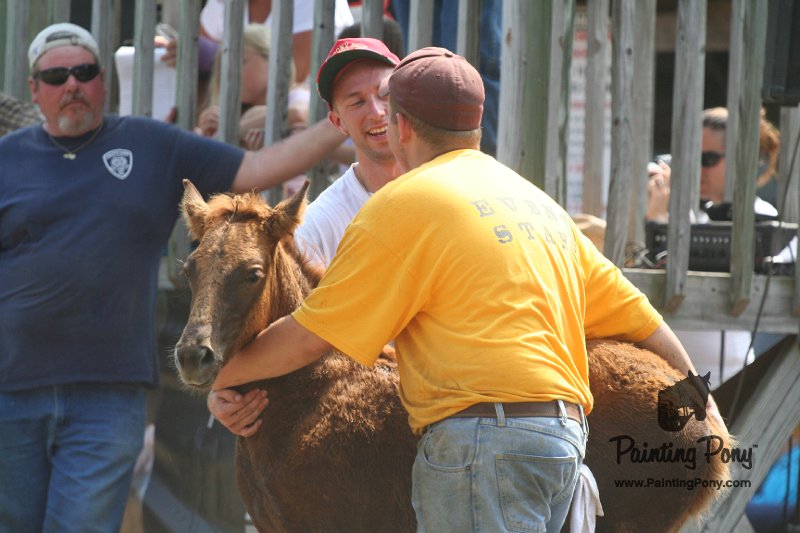ponypenning_072810_610.JPG