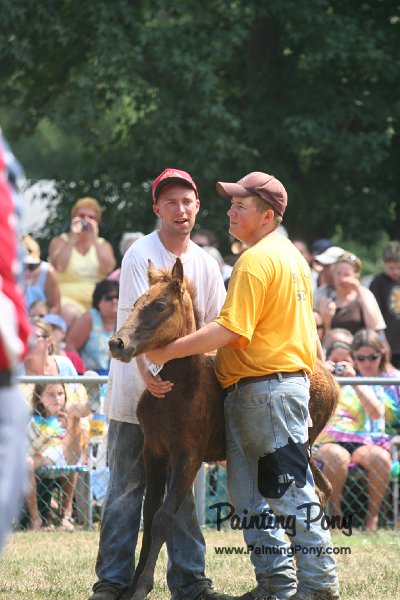 ponypenning_072810_614.JPG