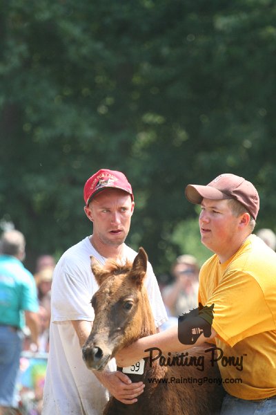 ponypenning_072810_615.JPG