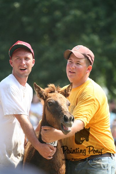 ponypenning_072810_617.JPG