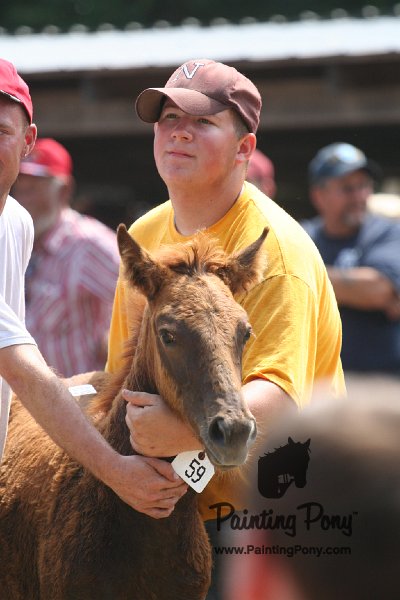 ponypenning_072810_622.JPG