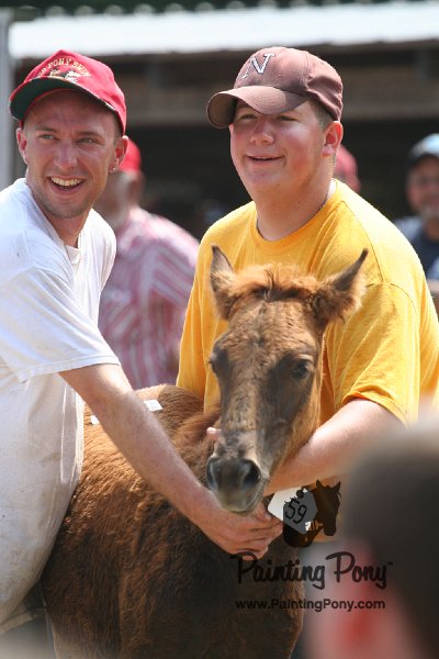 ponypenning_072810_623.JPG