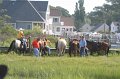 ponypenning_072710_053