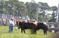 ponypenning_072710_059