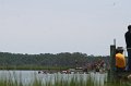 ponypenning_072810_079