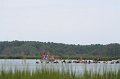 ponypenning_072810_083