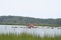 ponypenning_072810_086
