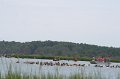ponypenning_072810_087
