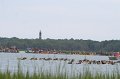 ponypenning_072810_094