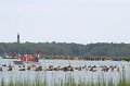 ponypenning_072810_095