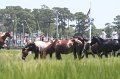 ponypenning_072810_112