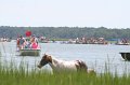 ponypenning_072810_116