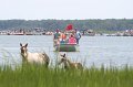 ponypenning_072810_118
