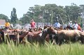 ponypenning_072810_120