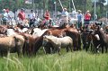 ponypenning_072810_125