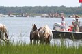 ponypenning_072810_127