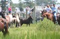ponypenning_072810_138