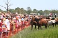 ponypenning_072810_140