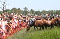 ponypenning_072810_141