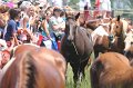 ponypenning_072810_148