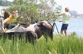 ponypenning_072810_168