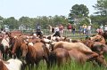 ponypenning_072810_172