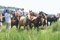 ponypenning_072810_173