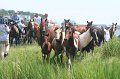 ponypenning_072810_174
