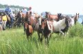 ponypenning_072810_175