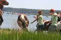 ponypenning_072810_178