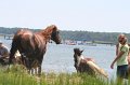 ponypenning_072810_179