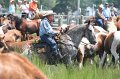 ponypenning_072810_180