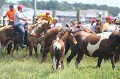 ponypenning_072810_185